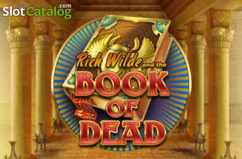 Live casino roulette table game interface